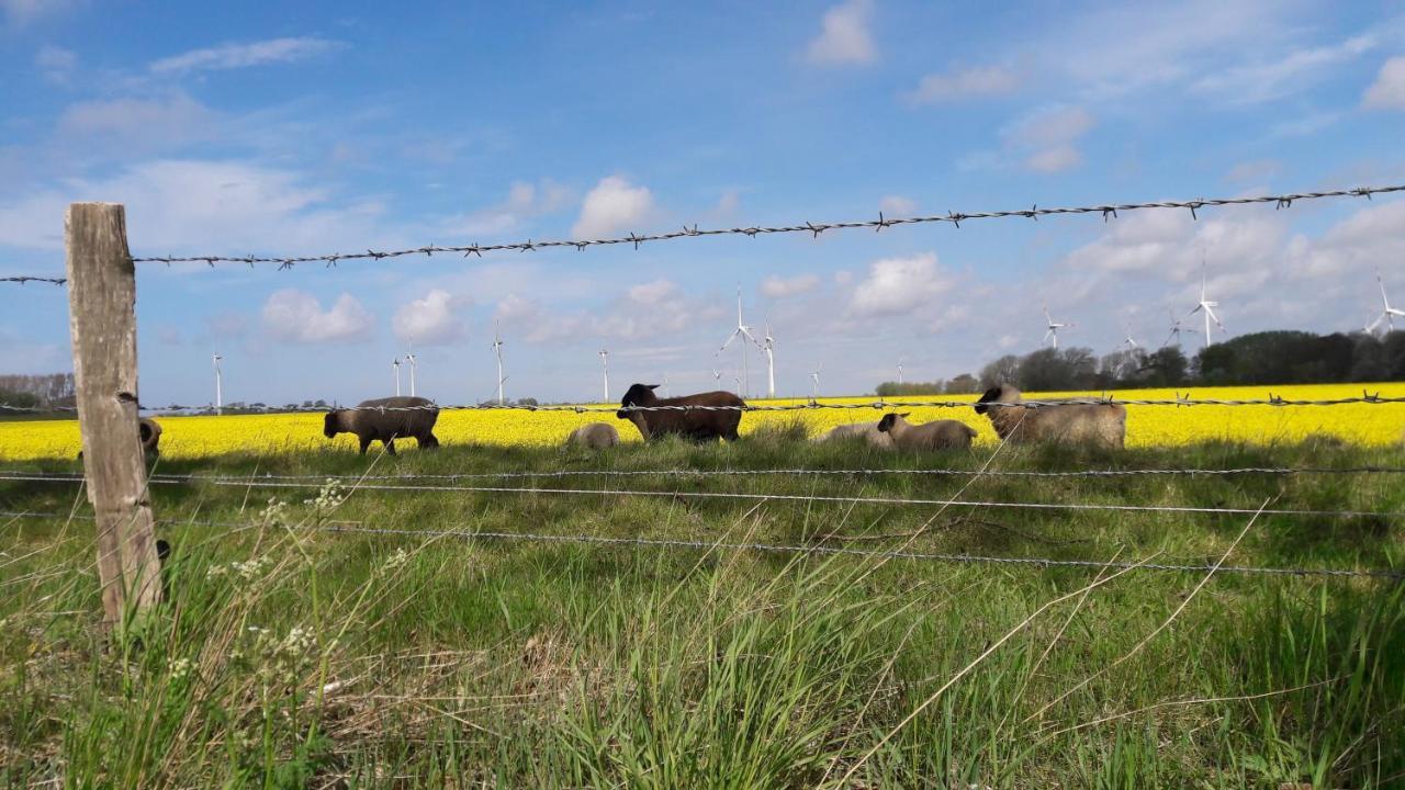 Ferienwohnung Wattkieker Büsum Exteriér fotografie